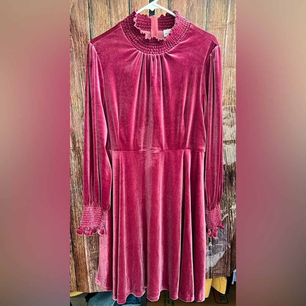 NWT Pink Desert High Collar Dress
